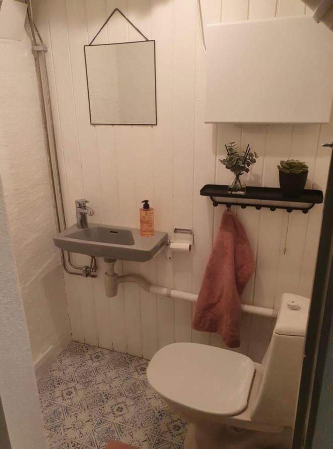 Koselig Rom Med Stue I Sentrum